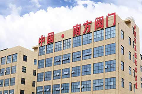 南方閥門集團外貿(mào)獨立站建設與谷歌SEO/SEM